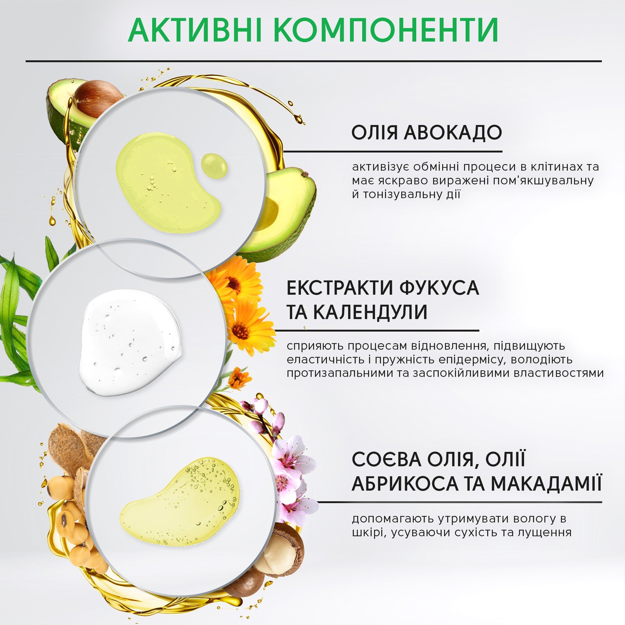Массажный крем для рук и ног с маслом авокадо, экстрактами фукуса и календулы Shelly 250 мл